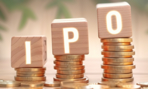 “潮汕女首富”胞弟携立景创新冲刺IPO，“立讯系”又添一员猛将！