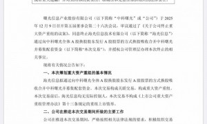 海光信息、中科曙光纷纷回应：股价变化较大等因素导致重组失败