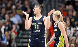 李月汝因伤病无缘全运会：若参赛再次受伤风险很大