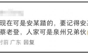 蔡国强烟花事件升级！被曝致敬西方艺术，活动曾被法国日本拒绝