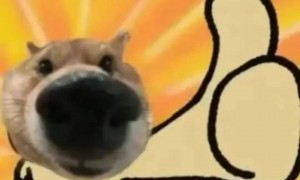 姐终于离了，这次总算是摆脱不靠谱的老公和强势的婆婆了！