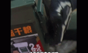 机枪单挑F16？泰国“义和团”VS柬埔寨“军户”，小国打仗太离谱