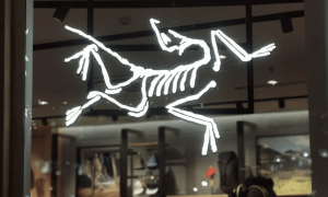 “烟花秀”之后，始祖鸟大中华区总经理佘移峰离职