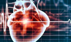 苹果手表已能“读懂”心电图，首次用于识别“隐匿性”心脏病