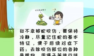 事发广东！20斤蟒蛇竟“一口闷”生吞小牛犊，抓捕时张开血盆大口