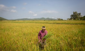 印美“非常接近”达成贸易协定?印部长:不会仓促签署任何协议